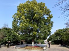 -方山风景区定林寺