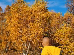 -塞罕坝国家级自然保护区