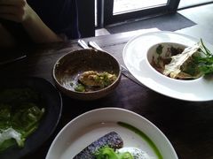 -Ocean's Table 欧舍