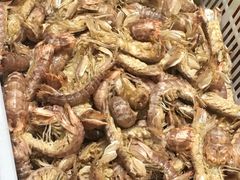 -赵氏老北京涮羊肉羊蝎子(蓝村店)