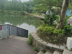 -东部华侨城