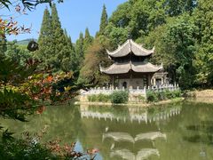 -习家池