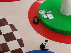 -福田卓悦INTOWN购物中心
