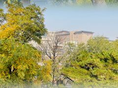 -莲花池公园