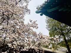 -潭柘寺景区