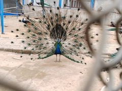 -森林公园(尖草坪区)