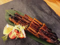 -more than meow吴止猫主题餐厅(承德 中船汇店)