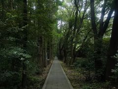 -苏州太湖国家湿地公园