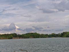 -海珠湖公园
