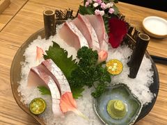 -一本钓鲔鱼屋