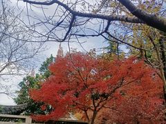 -狼山风景名胜区