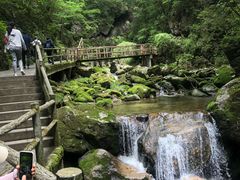 -牛背梁国家森林公园