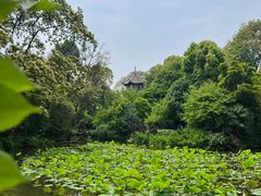 -成都杜甫草堂博物馆