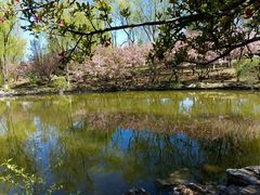 -石家庄市植物园