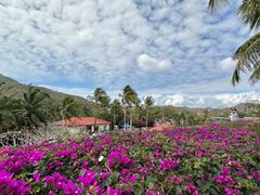 -三亚南山文化旅游区