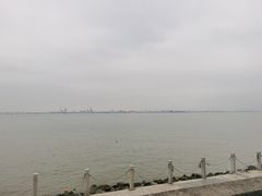 -海鸥岛