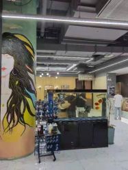 -T8 SALON