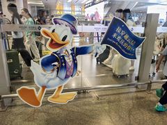 -上海浦东国际机场-T2航站楼