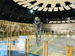 -二连浩特国家地质公园