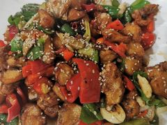 -煲来饱去冷水鱼