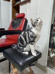 -长沙纹身· 龙堂刺青·三土师傅的店