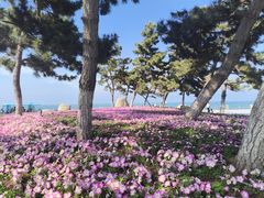 -悦海公园