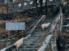 -水峪民俗村