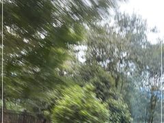 -千岛湖天屿景区