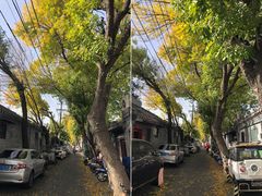 -北京国子监胡同