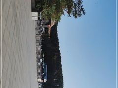 -沈阳森林动物园