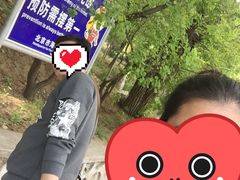 -北京鹫峰国家森林公园
