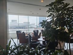 -白天鹅宾馆·月兔吧