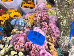 -桂林市花鸟市场