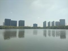 -南翔镇银翔湖公园