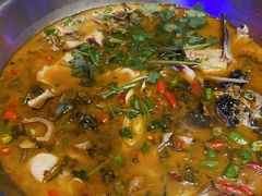 -红牌美蛙鱼头火锅(万辉国际广场店)