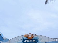 -椰风寨