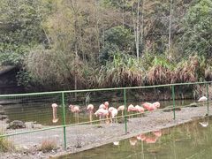 -千岛湖东南湖区