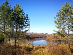 -北极村旅游风景区
