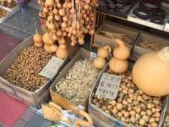 -中环花鸟鱼虫市场