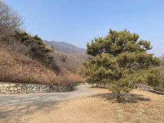 -北京西山国家森林公园