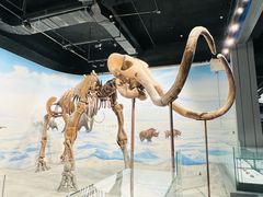 -辽宁古生物博物馆