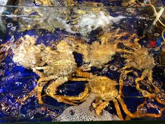 -79号渔船海鲜饭店(华强北店)