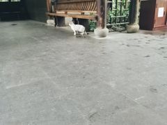 -乾园.魏庐湖景餐厅(花港店)