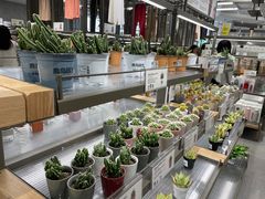 -鹿岛生活(熙地港店)