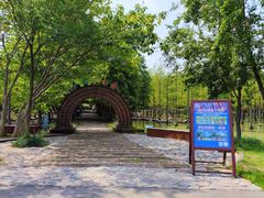 -泗洪洪泽湖湿地景区