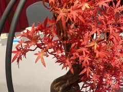 -汉水谣·江景餐厅(江滩店)