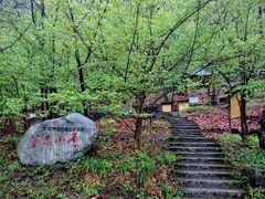 -黑河国家森林公园