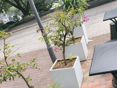 -大米先生(光电园店)