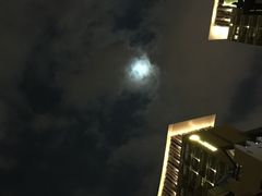 -三亚湾红树林度假世界(木棉酒店)