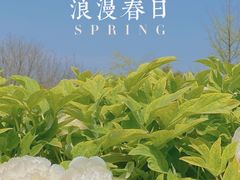 -陕西省西安植物园